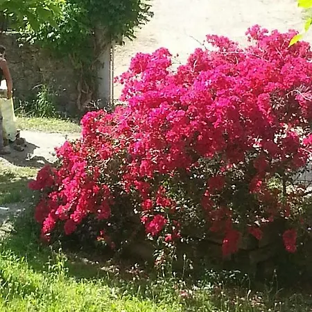 Porticello Village Holiday park